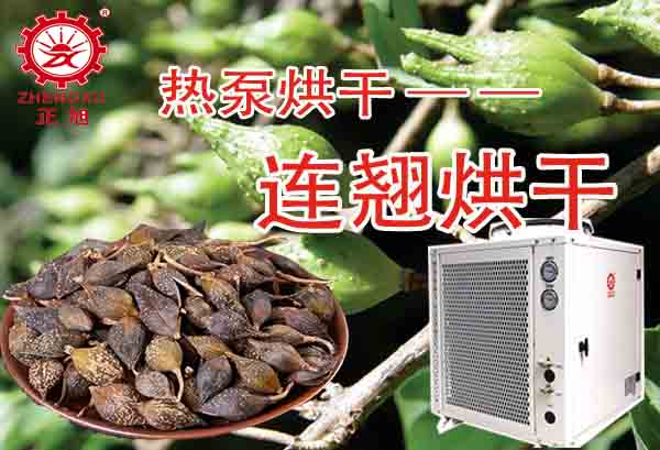 一噸連翹熱泵烘干需要多少錢？「熱泵烘干廠家」為你解答